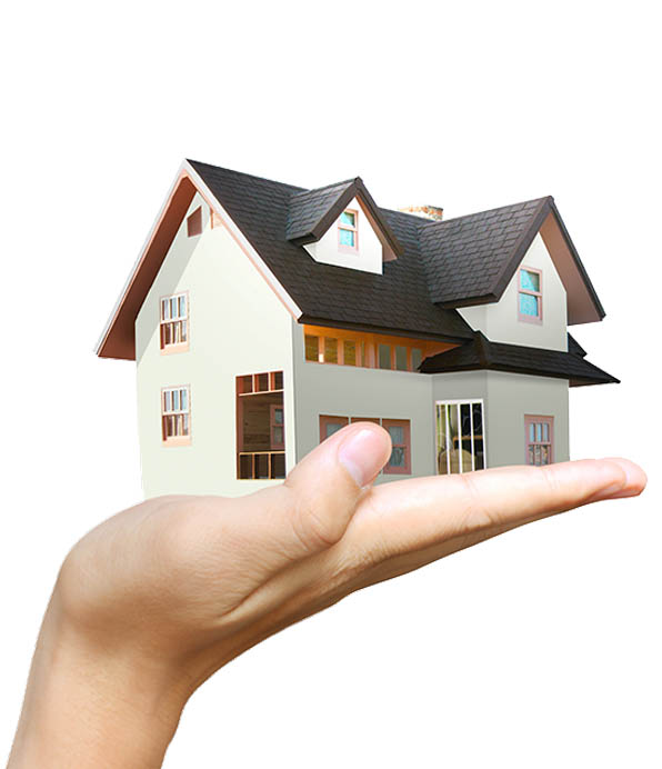 Positionnement Google d’un site web immobilier