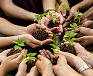 Site web pour entreprise de votre domaine osbl